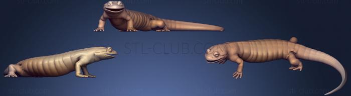 3D model Fire Salamander (STL)